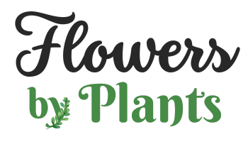 flowers by plants